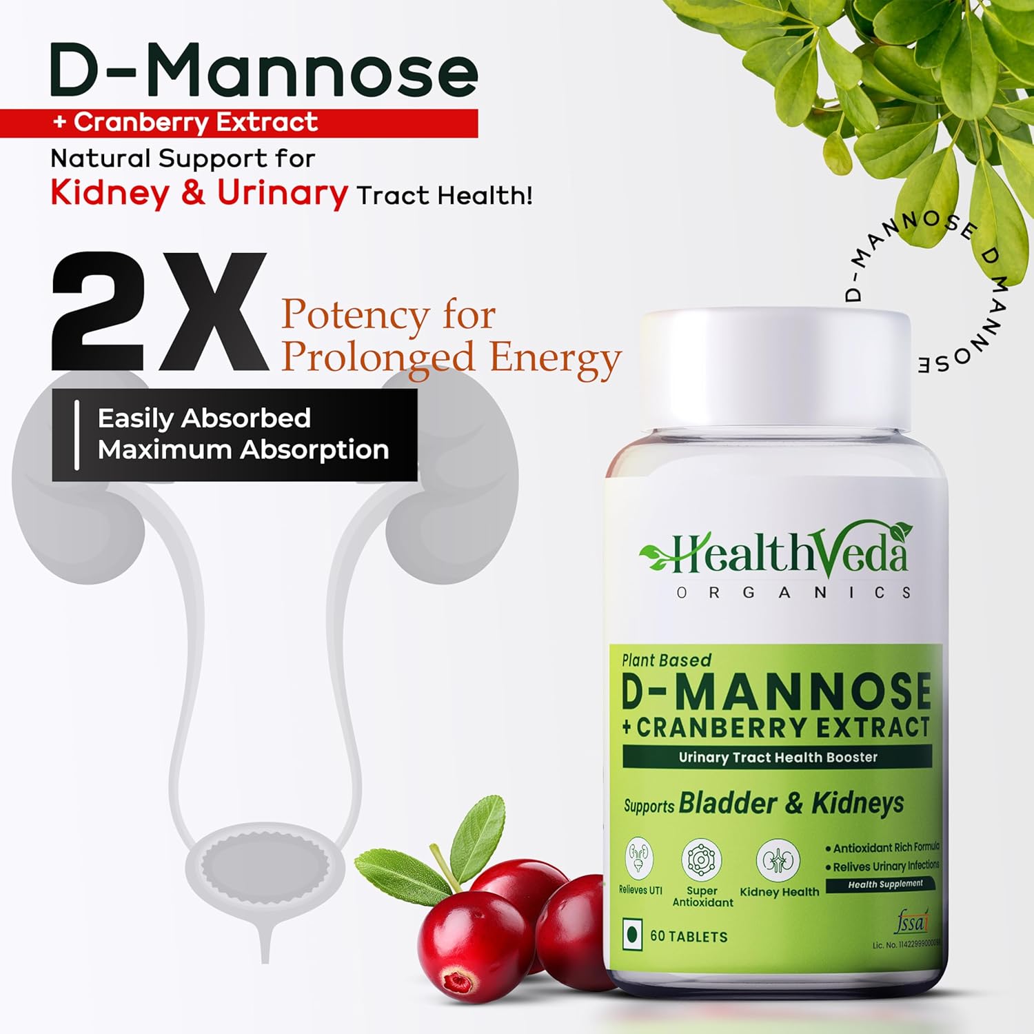 HEALTH VEDA ORGANICS PRIVATE LIMITED D-Mannose 500 mg + Cranberry Extract 200 mg | 120 Veg Tablets I Supports Kidney Health & Urinary Tract Infection - Image 3