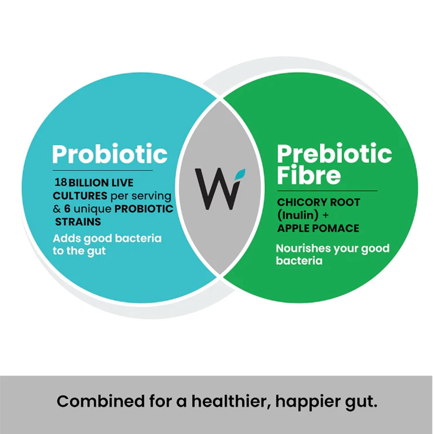 Wellbeing Nutrition Daily Probiotics + Prebiotics, Gut Health Supplement 18 Billion CFU with Organic Chicory Root | For Indigestion, Constipation, Gas, Bloating, IBS & Immunity, 21 Effervescent Tabs - Image 2