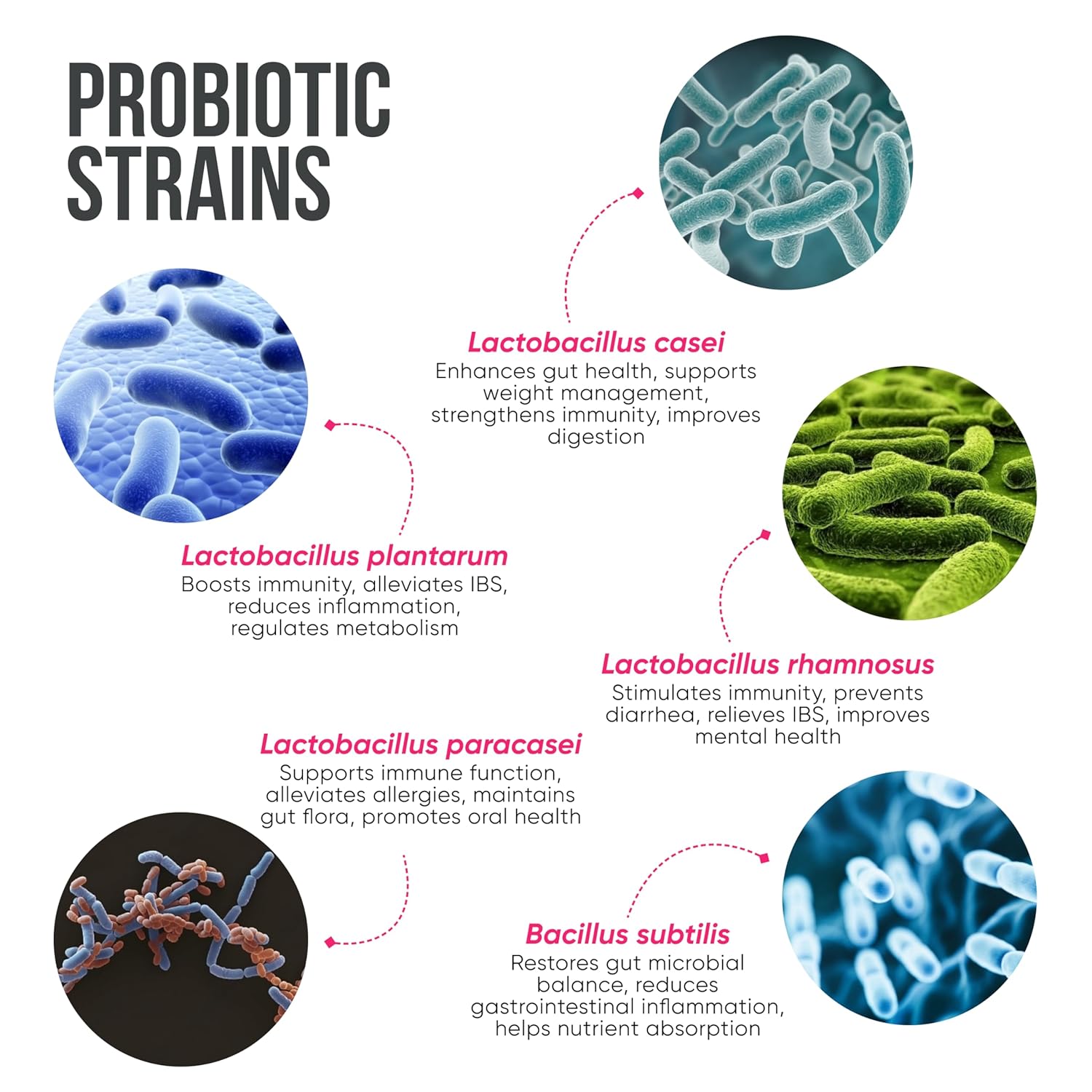 Healing Hands GutBio Probiotics + KiwiBiotic Prebiotic Combo| Daily Gut Health & Immunity| 25 Bn CFU 10 Strains + Kiwifruit Nutrients & Fibers| Essential Probiotics, Vitamins, Antioxidants, Prebiotic Fibers| 15-Day - Image 7